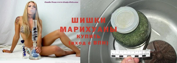 сатива Медногорск