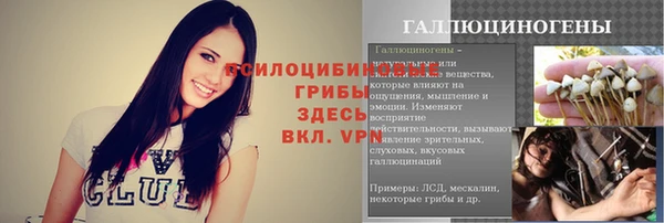 Альфа ПВП Магадан