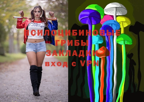 Альфа ПВП Магадан