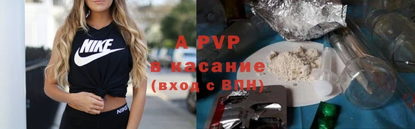 Альфа ПВП Магадан