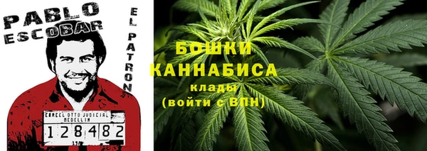 мдпв Мегион