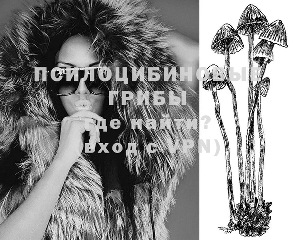 Альфа ПВП Магадан