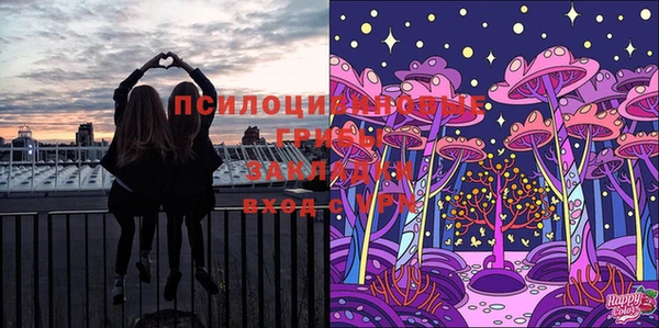 мдпв Мегион
