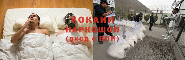 Альфа ПВП Магадан