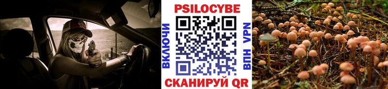Псилоцибиновые грибы мухоморы Купить где Комсомольск-на-Амуре